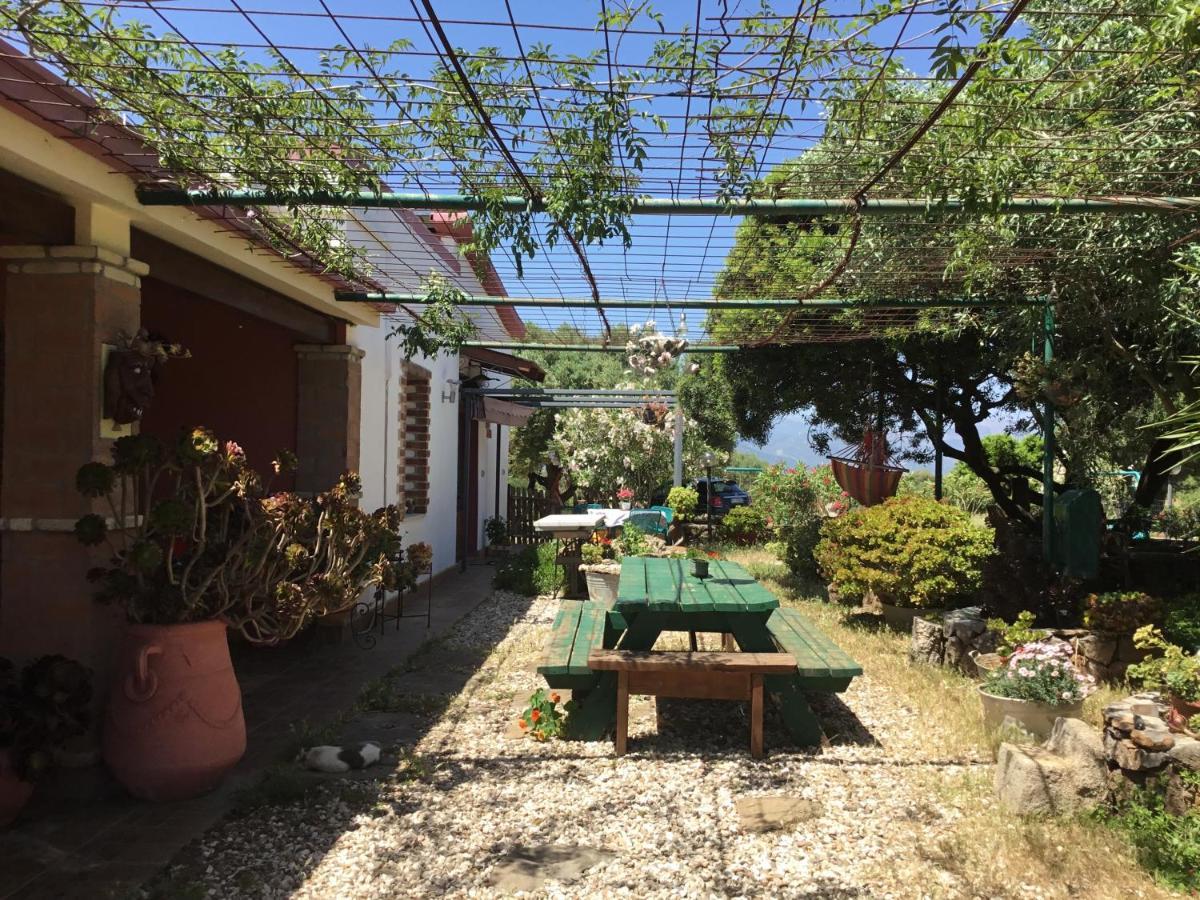 Su Saucu Villa Dorgali Bagian luar foto