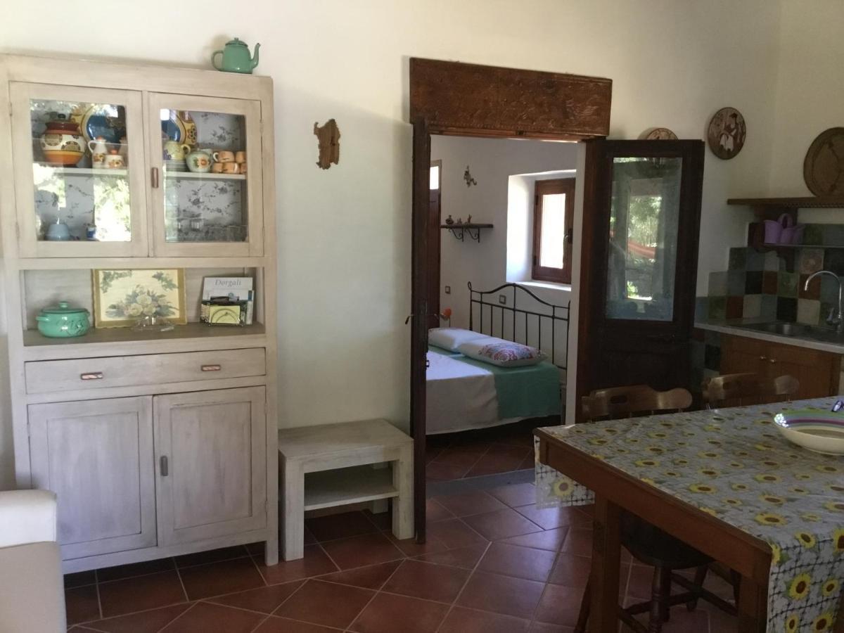 Su Saucu Villa Dorgali Bagian luar foto