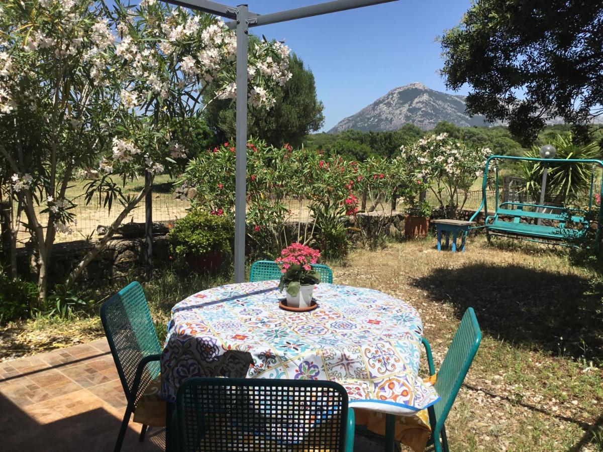 Su Saucu Villa Dorgali Bagian luar foto