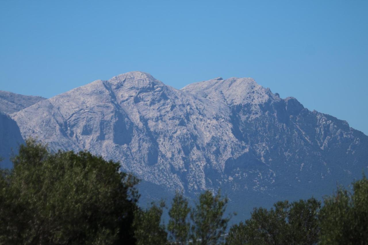 Su Saucu Villa Dorgali Bagian luar foto